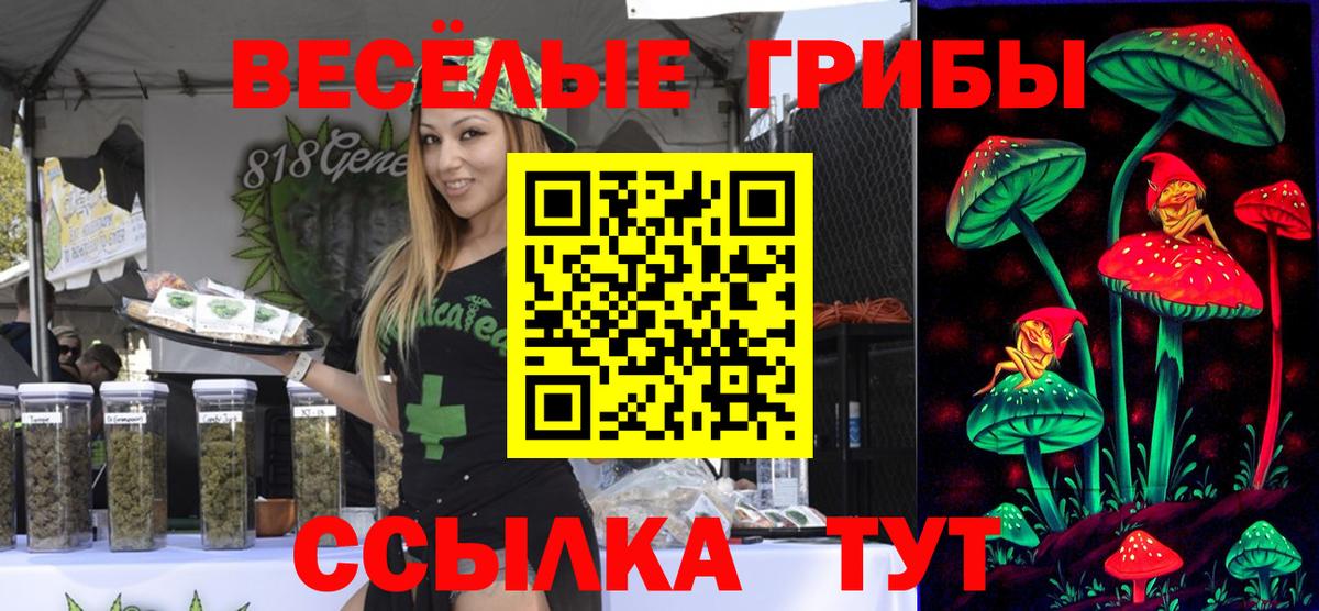 что такое наркотик  Вход с VPN  Псилоцибиновые грибы мухоморы  Ступино  Галлюциногенные грибы Psilocybine cubensis 