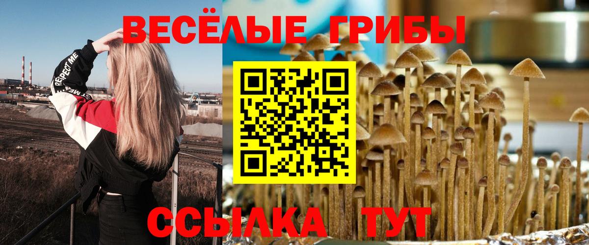 Галлюциногенные грибы Cubensis Ступино